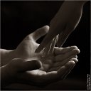 ���� Narval (54 ��.), ������, 67 ��� - ��������� 15 ������ 2015 � ������ ������ ��������