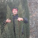 ���� ������, ��������������, 62 ���� - ��������� 2 ������ 2016 � ������ �߻