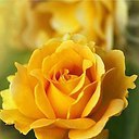 ���� ������, �������� - ��������� 16 ������ 2016 � ������ ������ ��������