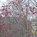 ���� ����, ������ - ��������� 21 ������� 2015 � ������ ���� ����������