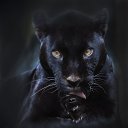 ���� �����, ������, 56 ��� - ��������� 23 ������ 2016 � ������ ���� ����������
