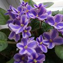 ���� ����, ������-��-����, 57 ��� - ��������� 6 ������� 2015 � ������ ���� ����������