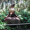 ���� �����, �����-���������, 59 ��� - ��������� 26 ������� 2015 � ������ ������ ��������