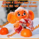 ���� �, �������� - ��������� 28 ������� 2015 � ������ ���� ����������