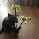 ���� �����, ���������, 62 ���� - ��������� 7 ������� 2016 � ������ ���������