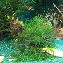 ���� ������, ������, 59 ��� - ��������� 21 ������� 2015 � ������ ���� ����������