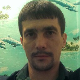Aleksey, ���������, 43 ����