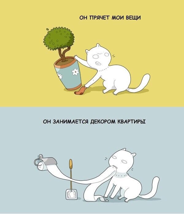 Кошка лежит на одежде. Вещи моего кота. Кот шьет. Лежанка для кошки из чемодана. Чтобы у моего кота была лучшая жизнь.