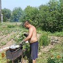 ���� ����, ������ - ��������� 9 ������ 2016 � ������ ���� ����������