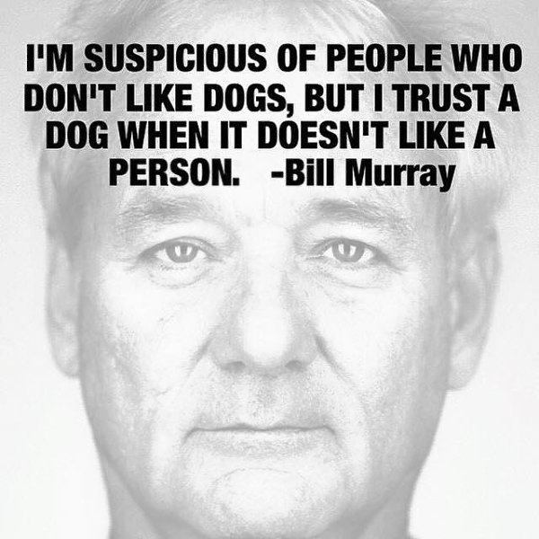 suspicion [sspl()n] .trust [trst] person [ps()n] ; ; ; 