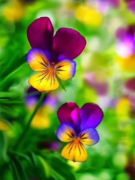 �����, ������� �� ��������, ������� �������, �������� �� ����� �� ������ ����� �����. � ������� ... - 4