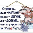 ���� �����, ���������, 45 ��� - ��������� 25 ������ 2016 � ������ ������ ��������