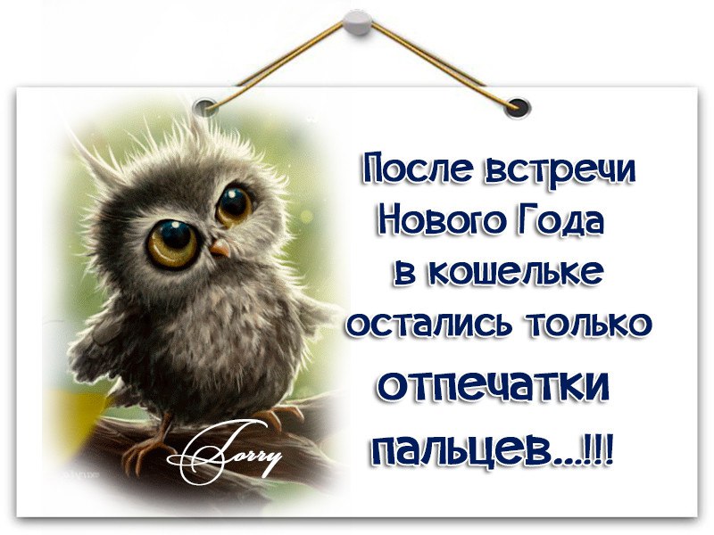  - 6  2016  15:43