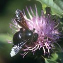 ���� �������, �����, 61 ��� - ��������� 7 ������ 2016 � ������ ������ ��������