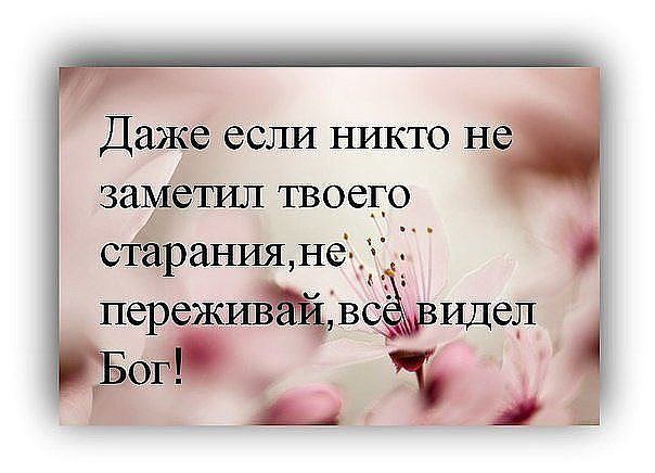  - 20  2015  08:09
