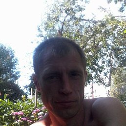 ���������, ���������, 44 ����