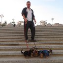 ���� ���������, �����-���������, 34 ���� - ��������� 7 ������ 2016 � ������ ���� ����������