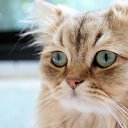 ���� Janna, ������ - ��������� 7 ����� 2016 � ������ ���� ����������