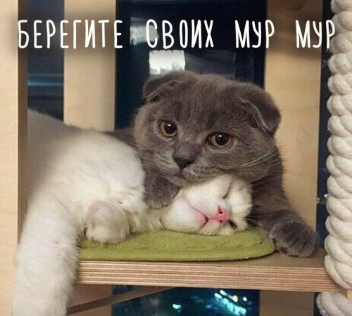  -  - 23  2016  11:20