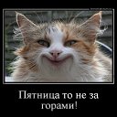 ���� ������, ������������, 57 ��� - ��������� 10 ������� 2015 � ������ ������ ��������