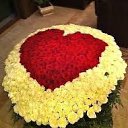 ���� *Ni��*, ������ - ��������� 26 ������ 2016 � ������ ���� ����������