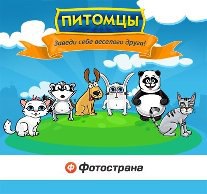 ���� ���������, ���������� - ��������� 13 ������ 2016