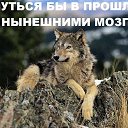 ���� ���������, ������, 39 ��� - ��������� 9 ������� 2016