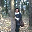 ���� Sinet, ������, 61 ��� - ��������� 31 ������� 2015 � ������ ���� ����������