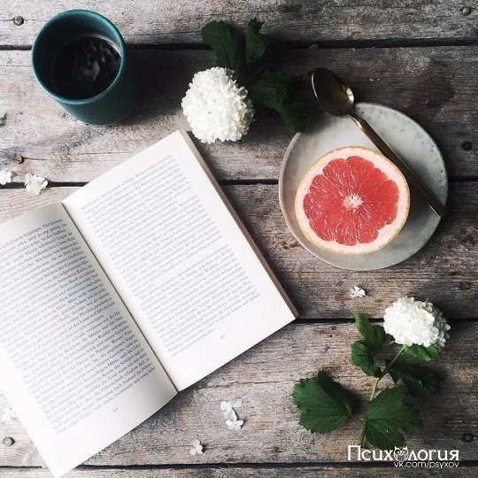 5 книг, которые помогут разобраться в себе.1. Фрит Крис — “Мозг и душа. Как нервная деятельность ...
