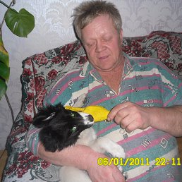 ���� �������, �����-���������, 66 ��� - ��������� 19 ������� 2015