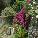 ������� �� ������� ���� ����������