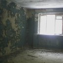 ���� ������, ������ - ��������� 20 ������ 2016 � ������ ������������ ������ " ���������"�