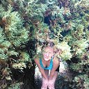 ���� ������, �����-���������, 50 ��� - ��������� 2 ������� 2015 � ������ ������ ��������