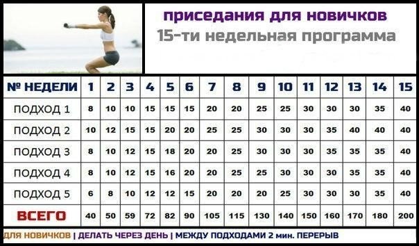 В ЧЕМ ПОЛЬЗА ПРИСЕДАНИЙ? 1. Приседания прорабатывают самые крупные мышцы тела. В работу включаются ...