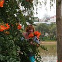 ���� �����, ������ ��������, 50 ��� - ��������� 28 ������� 2015 � ������ ���� ����������