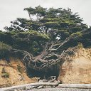 ���� �������, ������ ��������, 62 ���� - ��������� 3 ����� 2016 � ������ ������ ��������