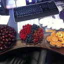 ���� ���������, ������, 58 ��� - ��������� 11 ������ 2016 � ������ ���� ����������