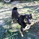 ���� ����, ����, 52 ���� - ��������� 25 ������ 2016 � ������ ���� ����������