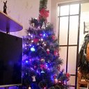 ���� ����, ������� - ��������� 24 ������ 2016 � ������ ���� ����������