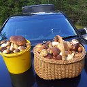 ���� Antons, ����, 68 ��� - ��������� 12 ������� 2015 � ������ ���� ����������