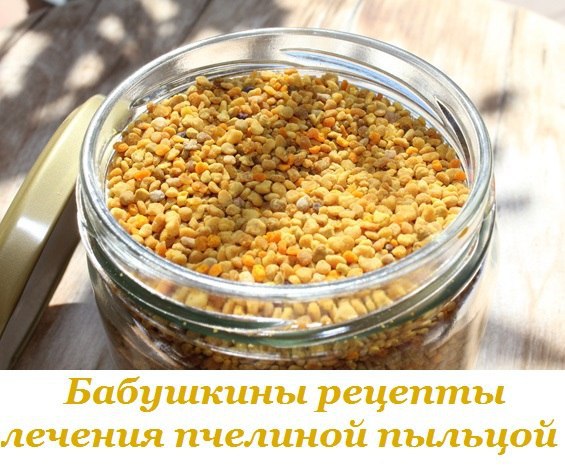 БАБУШКИНЫ РЕЦЕПТЫ ЛЕЧЕНИЯ ПЧЕЛИНОЙ ПЫЛЬЦОЙ.Все встречали такое словосочетание, как цветочная пыльца. ...