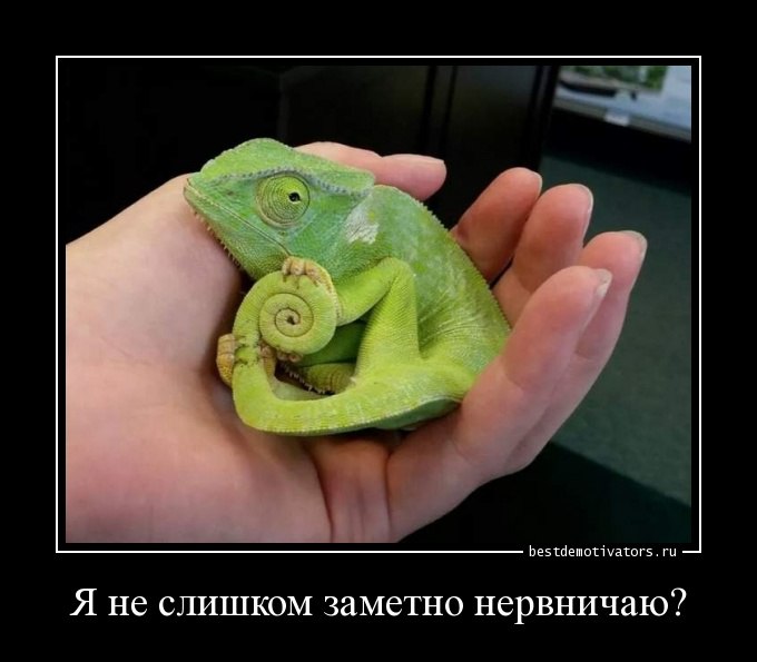 ***Victoria Viktorovna*** - 1  2016  07:24