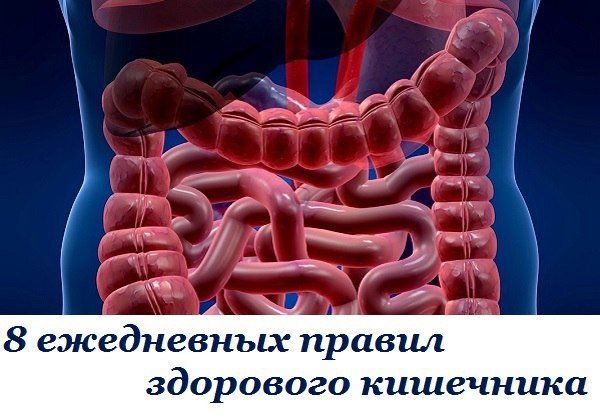8 ежедневных правил здорового кишечника, которых стоит придерживаться каждому. Тебе наверняка ...