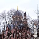 ���� ��������, ������ - ��������� 31 ������ 2016 � ������ �������� ���������_������