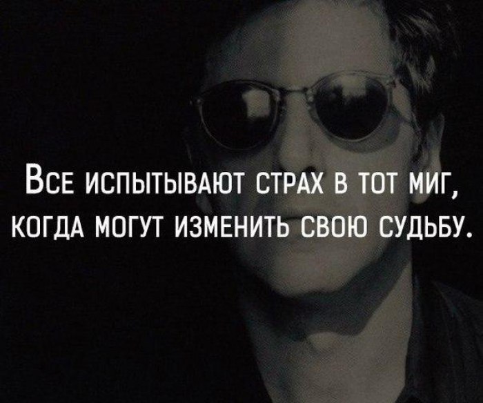 LIFE -  - 6  2016  15:58
