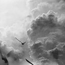   ))  !!!, , 70  -  8  2015    