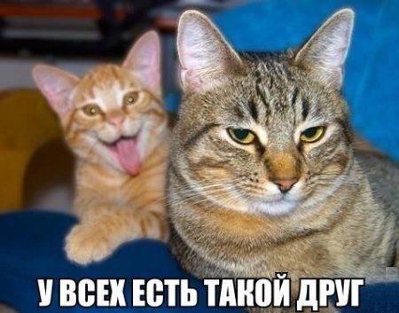    :-) - 30  2015  22:01