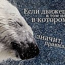 ���� ���������, ������, 44 ���� - ��������� 10 ������� 2015 � ������ ��������������