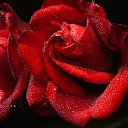 ���� Andrei, �������, 60 ��� - ��������� 13 ������ 2015 � ������ �����ۻ