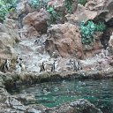 �������� �� ������� ������ ��������